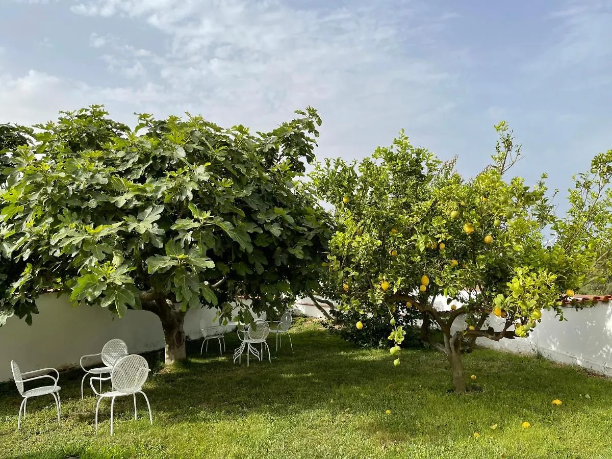 Villa Nuragica Sardegna Bacu Abis