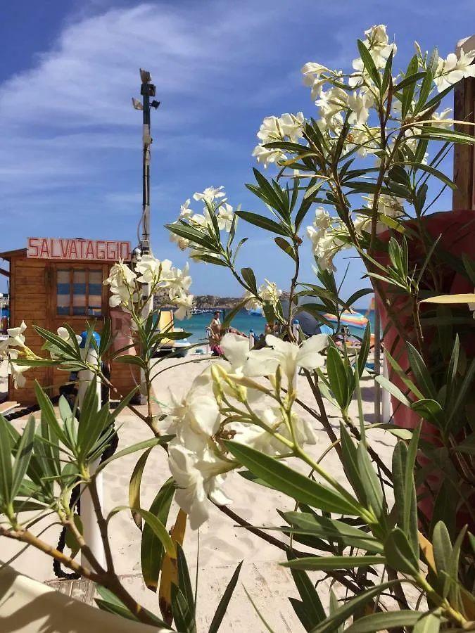 Appartamento Villa Nuragica Sardegna Bacu Abis