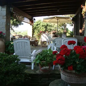 Solmar Palmadula